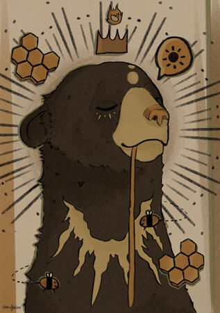 Sun Bear