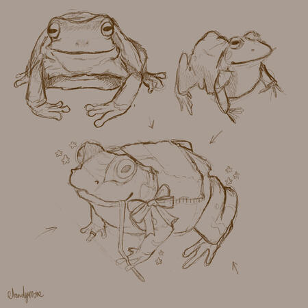 Frog Sketch